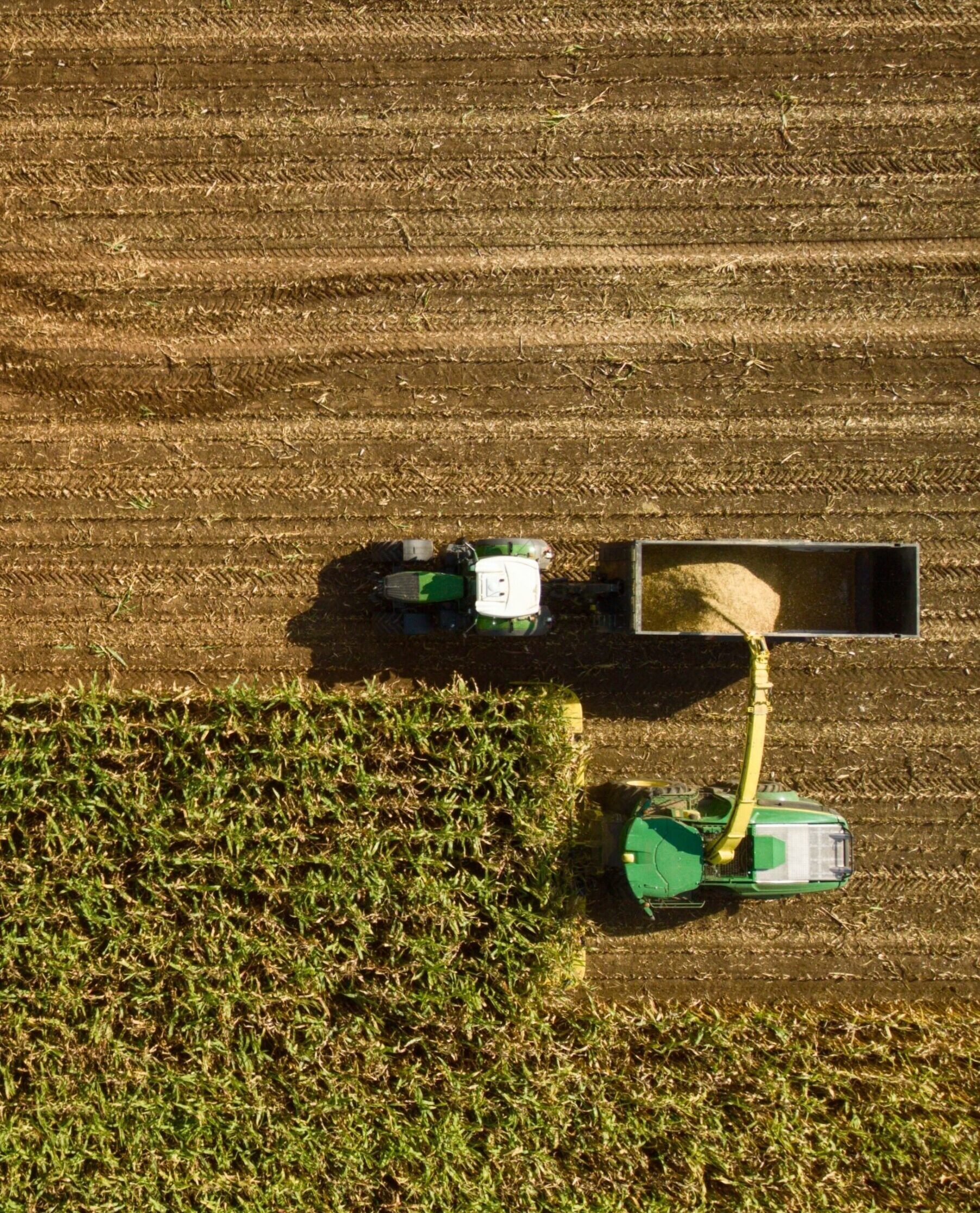 الأدوات الزراعية